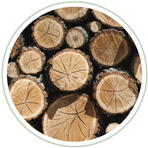 TROZOS DE MADERA