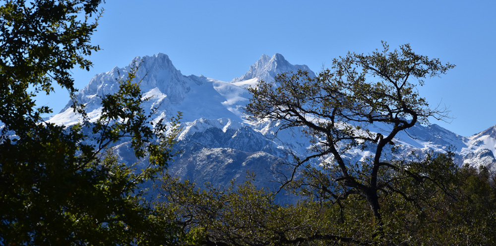 BOSQUES DE ALTO VALOR DE CONSERVACIÓN