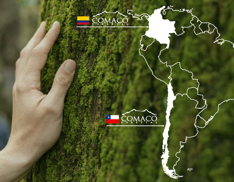 Bosques Sustentables Chile y Colombia